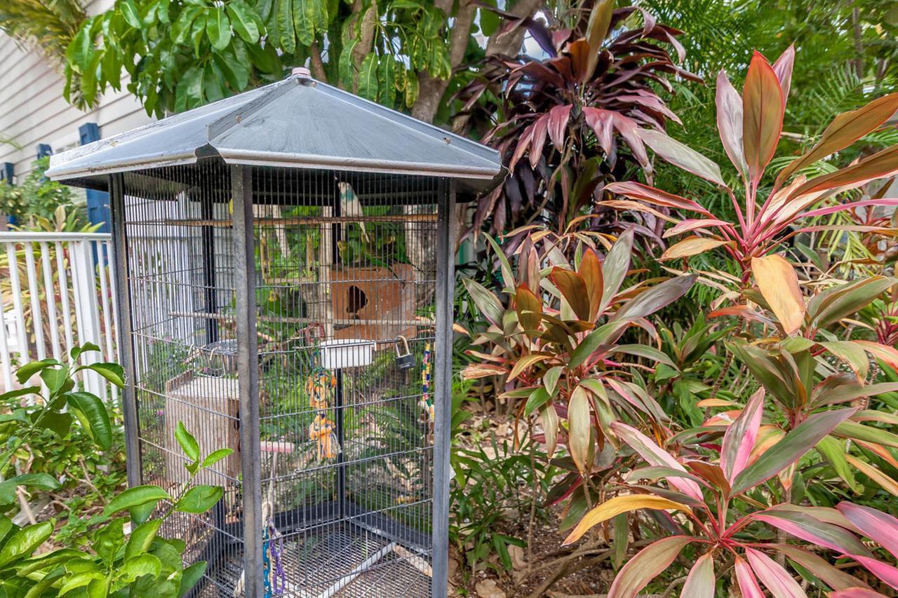 Old Town Garden Villas Key West Rum bild